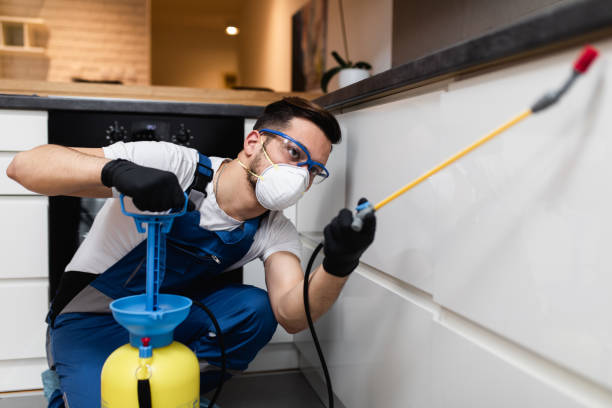 Professional Pest Control in New Roads, LA