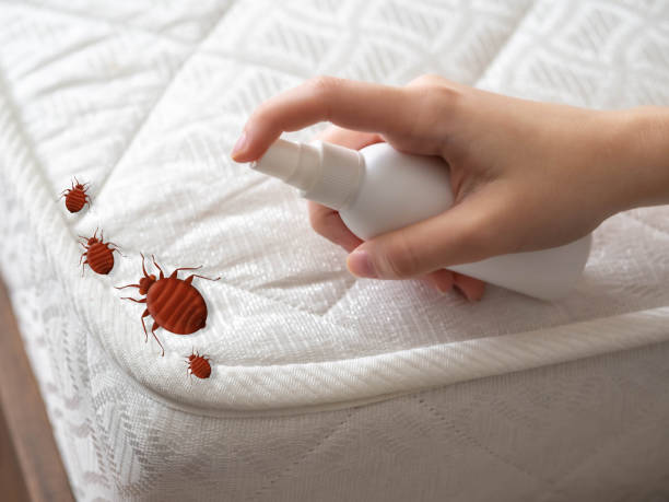 Best Best Pest Control Companies  in New Roads, LA